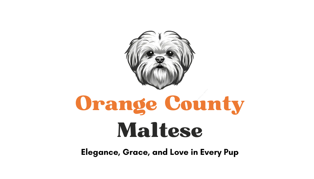 orange county maltese